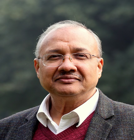 Prof. Ashwini Agrawal